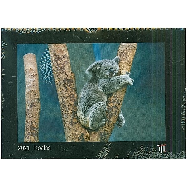 Koalas 2021 - Black Edition - Timokrates Kalender, Wandkalender, Bildkalender - DIN A4 (ca. 30 x 21 cm)