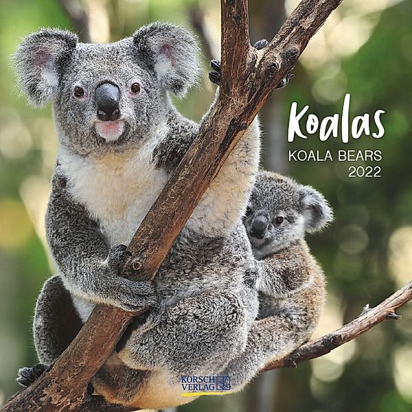 Koalas 2022