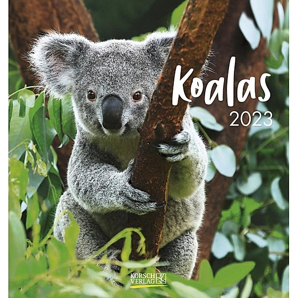 Koalas 2023