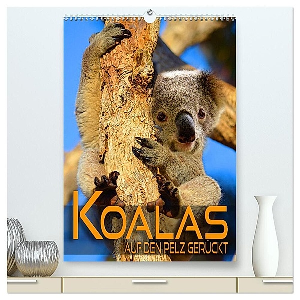 Koalas auf den Pelz gerückt (hochwertiger Premium Wandkalender 2024 DIN A2 hoch), Kunstdruck in Hochglanz, Renate Utz
