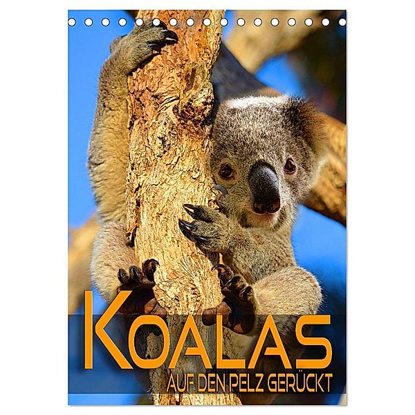 Koalas auf den Pelz gerückt (Tischkalender 2025 DIN A5 hoch), CALVENDO Monatskalender, Calvendo, Renate Utz