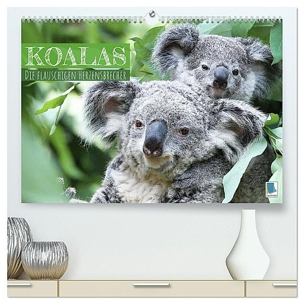 Koalas: die flauschigen Herzensbrecher (hochwertiger Premium Wandkalender 2024 DIN A2 quer), Kunstdruck in Hochglanz, Calvendo