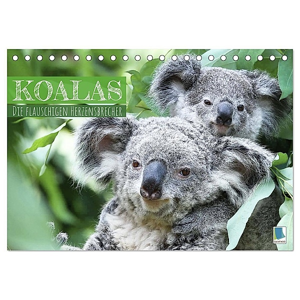 Koalas: die flauschigen Herzensbrecher (Tischkalender 2024 DIN A5 quer), CALVENDO Monatskalender, Calvendo