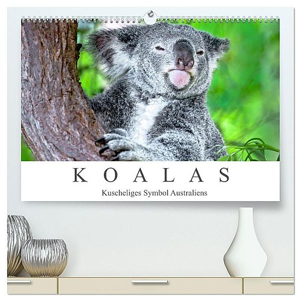 Koalas - Kuscheliges Symbol Australiens (hochwertiger Premium Wandkalender 2024 DIN A2 quer), Kunstdruck in Hochglanz, Dieter Meyer