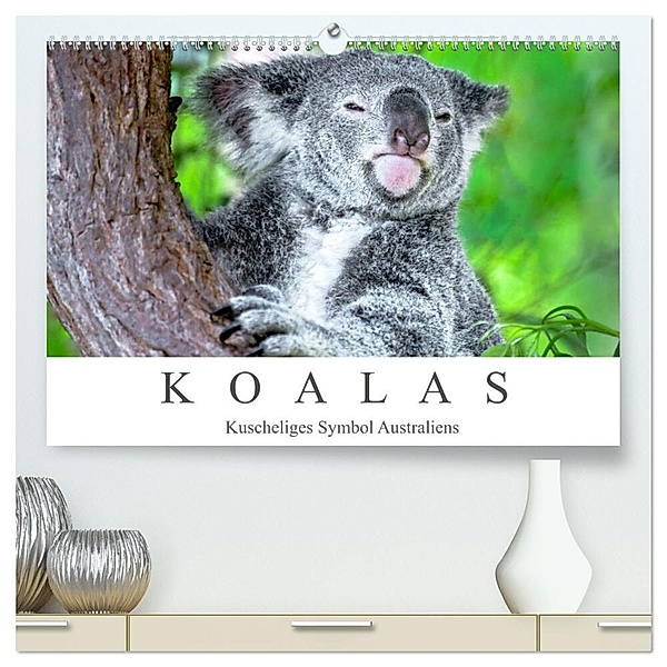 Koalas - Kuscheliges Symbol Australiens (hochwertiger Premium Wandkalender 2025 DIN A2 quer), Kunstdruck in Hochglanz, Calvendo, Dieter Meyer