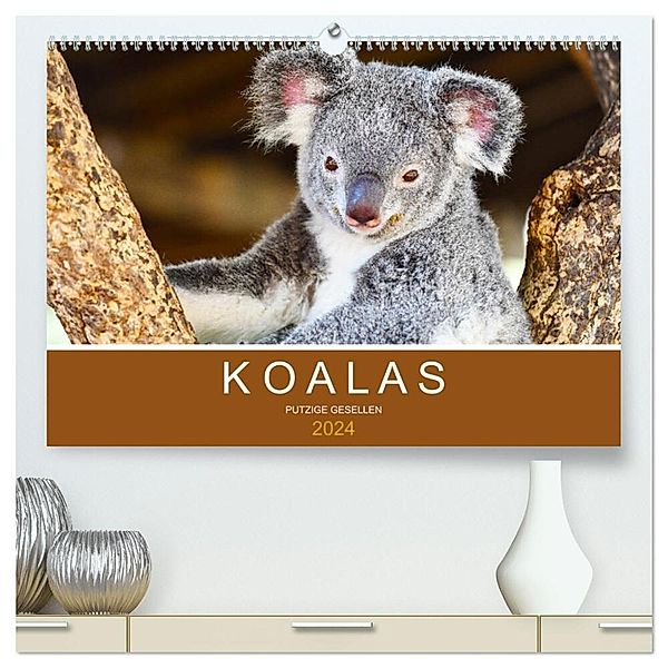 Koalas, putzige Gesellen (hochwertiger Premium Wandkalender 2024 DIN A2 quer), Kunstdruck in Hochglanz, Robert Styppa