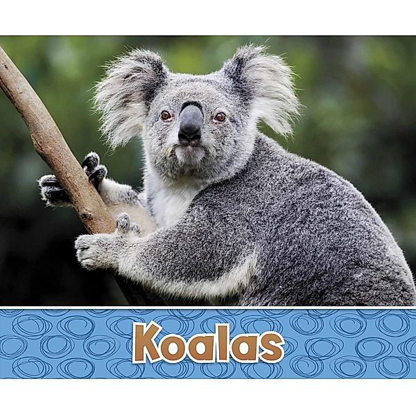 Koalas / Raintree Publishers, Sara Louise Kras