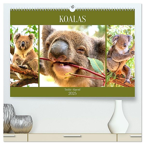 Koalas. Teddy-Alarm! (hochwertiger Premium Wandkalender 2025 DIN A2 quer), Kunstdruck in Hochglanz, Calvendo, Rose Hurley