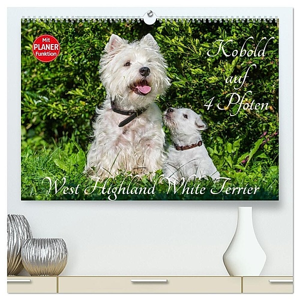 Kobold auf 4 Pfoten - West Highland White Terrier (hochwertiger Premium Wandkalender 2024 DIN A2 quer), Kunstdruck in Hochglanz, Sigrid Starick