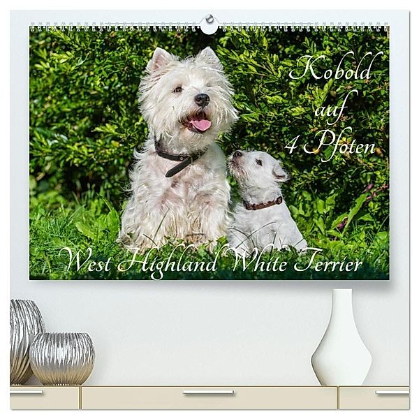 Kobold auf 4 Pfoten - West Highland White Terrier (hochwertiger Premium Wandkalender 2025 DIN A2 quer), Kunstdruck in Hochglanz, Calvendo, Sigrid Starick