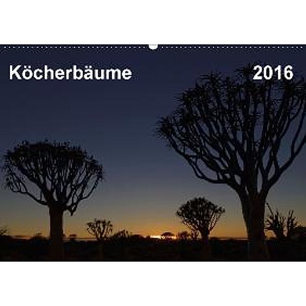 Köcherbaum - Quiver tree - Kokerboom (Wandkalender 2016 DIN A2 quer), Gerald Wolf