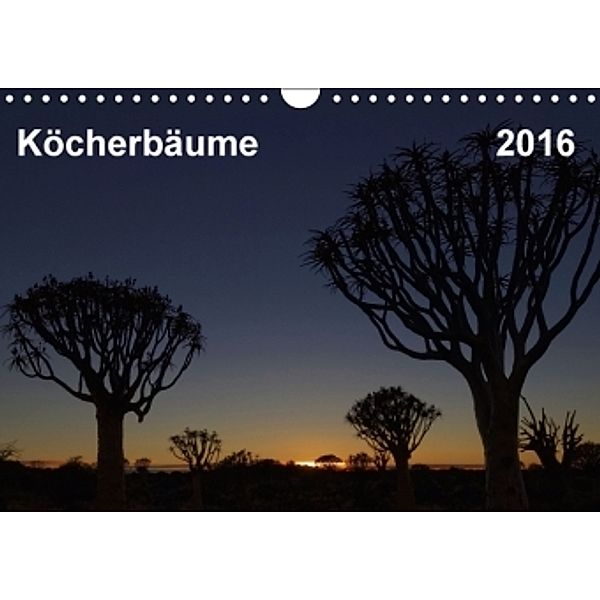 Köcherbaum - Quiver tree - Kokerboom (Wandkalender 2016 DIN A4 quer), Gerald Wolf