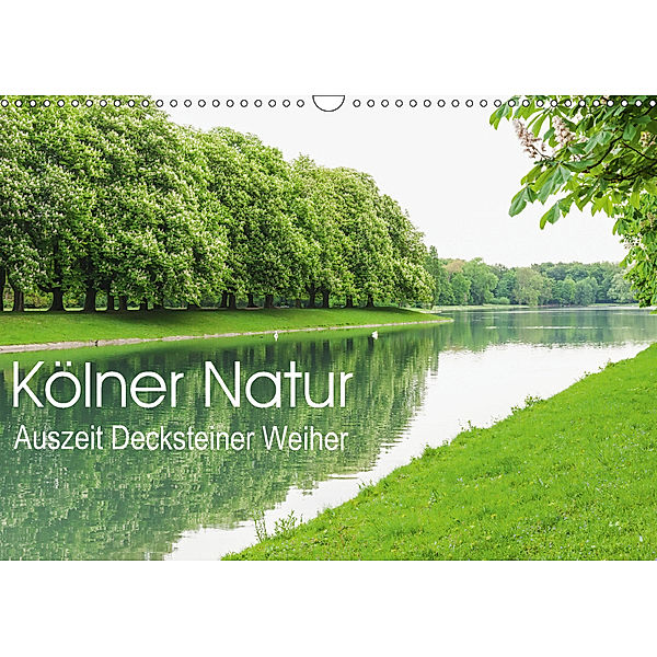Kölner Natur. Auszeit Decksteiner Weiher (Wandkalender 2018 DIN A3 quer), Gaby Wojciech