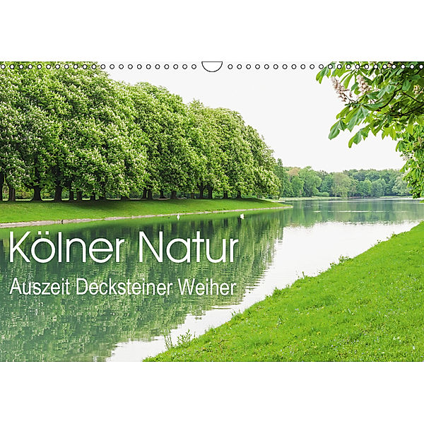 Kölner Natur. Auszeit Decksteiner Weiher (Wandkalender 2019 DIN A3 quer), Gaby Wojciech