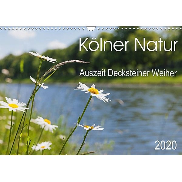 Kölner Natur. Auszeit Decksteiner Weiher (Wandkalender 2020 DIN A3 quer), Gaby Wojciech