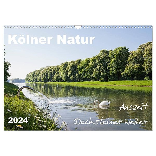Kölner Natur. Auszeit Decksteiner Weiher (Wandkalender 2024 DIN A3 quer), CALVENDO Monatskalender, Gaby Wojciech