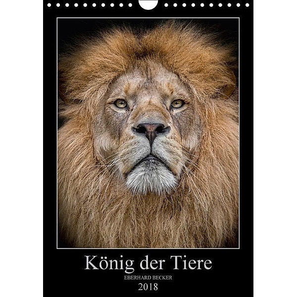 König der Tiere (Wandkalender 2018 DIN A4 hoch), Eberhard Becker