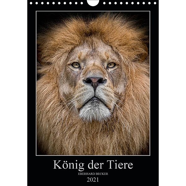 König der Tiere (Wandkalender 2021 DIN A4 hoch), Eberhard Becker