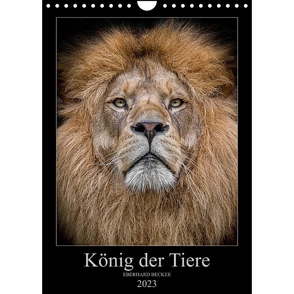 König der Tiere (Wandkalender 2023 DIN A4 hoch), Eberhard Becker