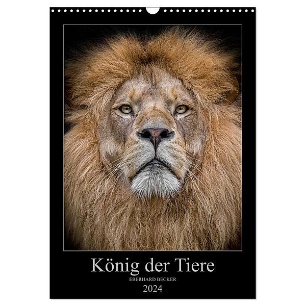 König der Tiere (Wandkalender 2024 DIN A3 hoch), CALVENDO Monatskalender, Eberhard Becker