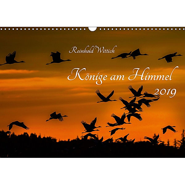 Könige am Himmel (Wandkalender 2019 DIN A3 quer), Reinhold Wittich