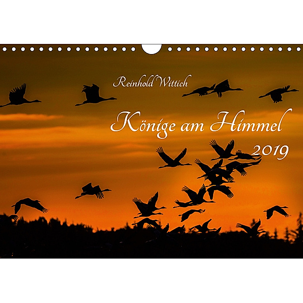 Könige am Himmel (Wandkalender 2019 DIN A4 quer), Reinhold Wittich