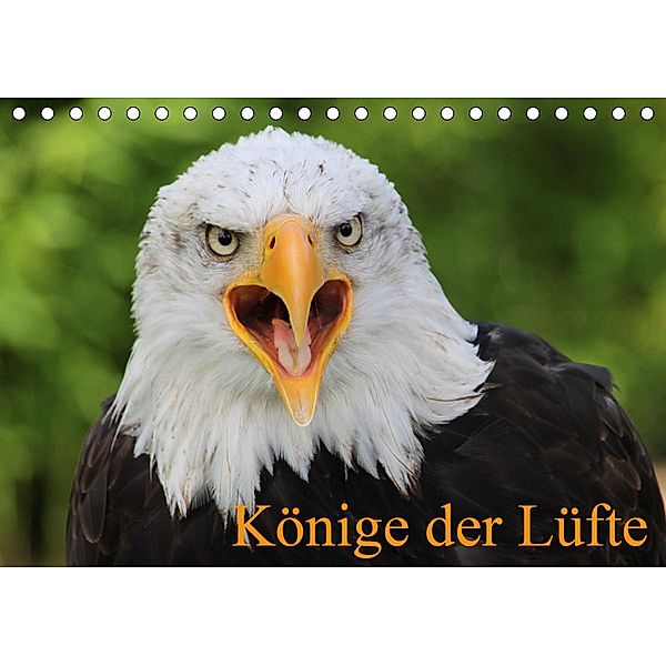 Könige der Lüfte (Tischkalender 2021 DIN A5 quer), Antje Lindert-Rottke