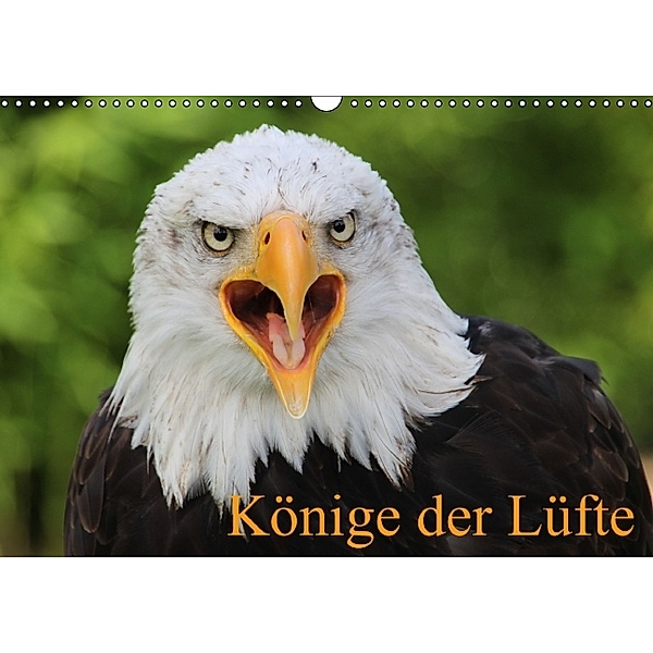 Könige der Lüfte (Wandkalender 2014 DIN A3 quer), Antje Lindert-Rottke