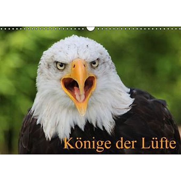 Könige der Lüfte (Wandkalender 2015 DIN A3 quer), Antje Lindert-Rottke