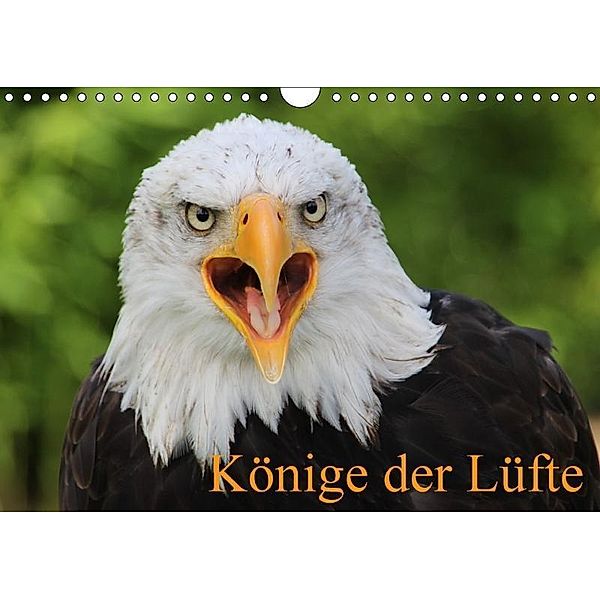 Könige der Lüfte (Wandkalender 2017 DIN A4 quer), Antje Lindert-Rottke