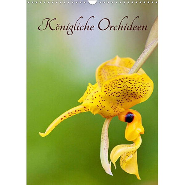 Königliche Orchideen (Wandkalender 2022 DIN A3 hoch), Clemens Stenner