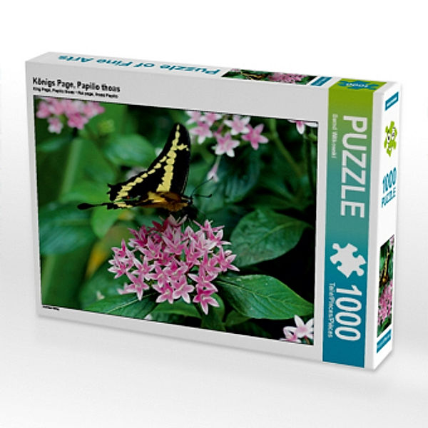 Königs Page, Papilio thoas (Puzzle), Bernd Witkowski