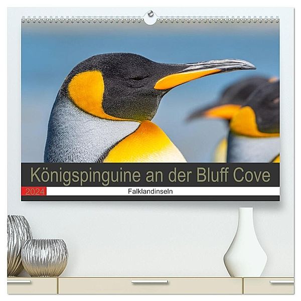 Königspinguine an der Bluff Cove (hochwertiger Premium Wandkalender 2024 DIN A2 quer), Kunstdruck in Hochglanz, Norbert W. Saul