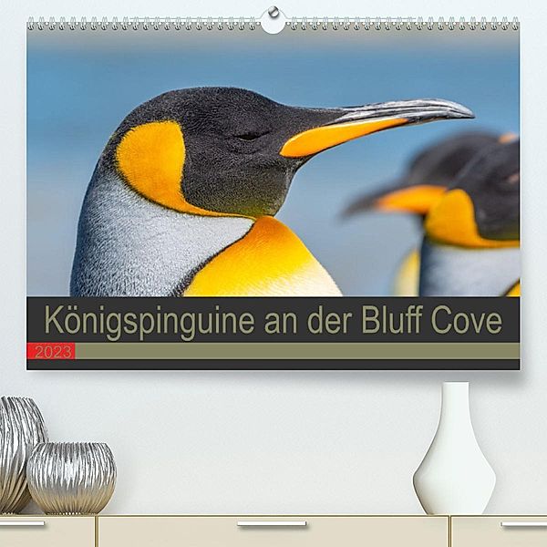 Königspinguine an der Bluff Cove (Premium, hochwertiger DIN A2 Wandkalender 2023, Kunstdruck in Hochglanz), Norbert W. Saul