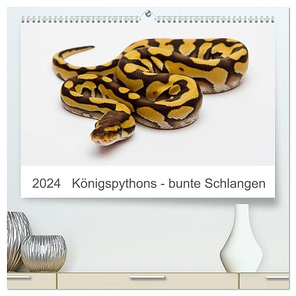 Königspythons - bunte Schlangen (hochwertiger Premium Wandkalender 2024 DIN A2 quer), Kunstdruck in Hochglanz, Werner Lang