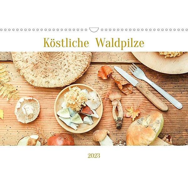 Köstliche Waldpilze (Wandkalender 2023 DIN A3 quer), EFLStudioArt