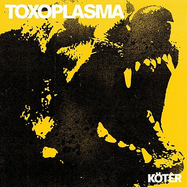 Köter, Toxoplasma