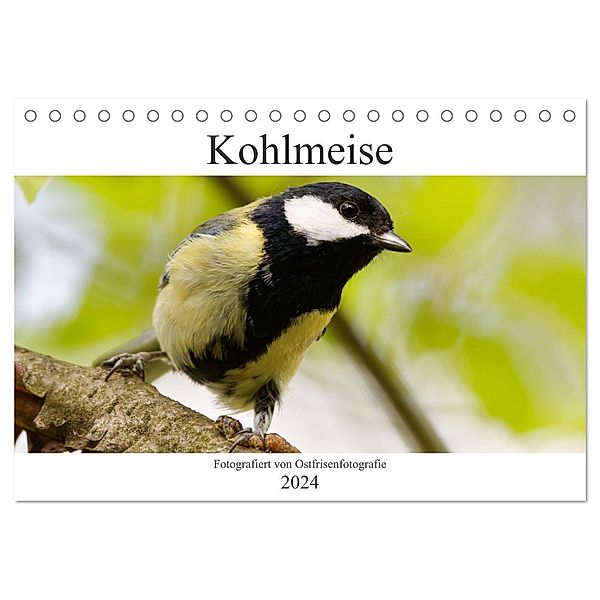 Kohlmeise - Fotografiert von Ostfriesenfotografie (Tischkalender 2024 DIN A5 quer), CALVENDO Monatskalender, Christina Betten - Ostfriesenfotografie