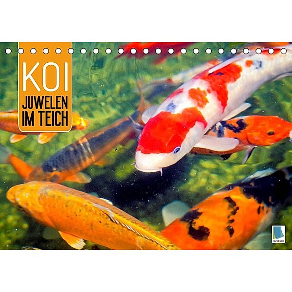 Koi: Juwelen im Teich (Tischkalender 2022 DIN A5 quer), Calvendo