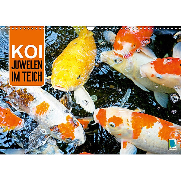 Koi: Juwelen im Teich (Wandkalender 2019 DIN A3 quer), Calvendo