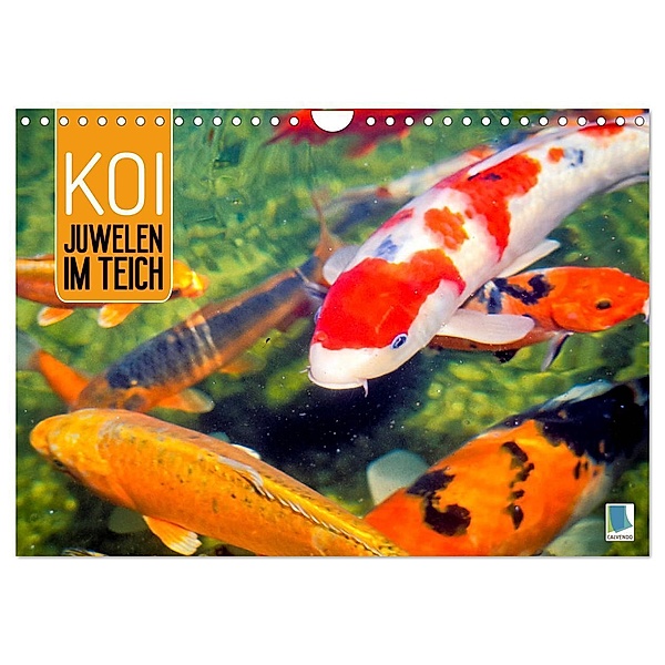 Koi: Juwelen im Teich (Wandkalender 2024 DIN A4 quer), CALVENDO Monatskalender, Calvendo