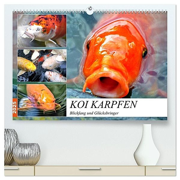 Koi Karpfen. Blickfang und Glücksbringer (hochwertiger Premium Wandkalender 2025 DIN A2 quer), Kunstdruck in Hochglanz, Calvendo, Rose Hurley