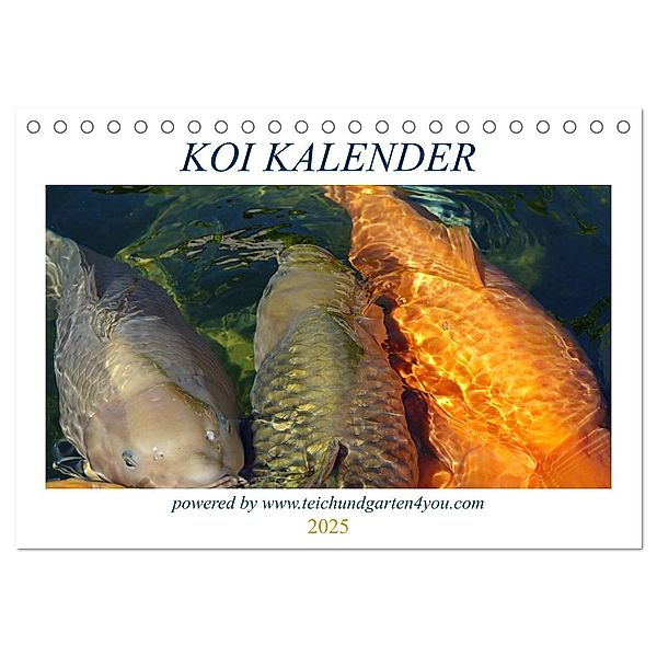Koikichi Kalender 2025 (Tischkalender 2025 DIN A5 quer), CALVENDO Monatskalender, Calvendo, Florian Wilhelm