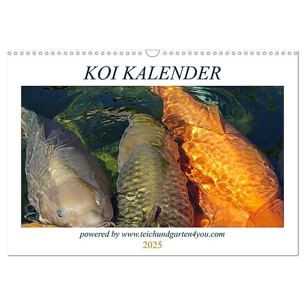 Koikichi Kalender 2025 (Wandkalender 2025 DIN A3 quer), CALVENDO Monatskalender, Calvendo, Florian Wilhelm