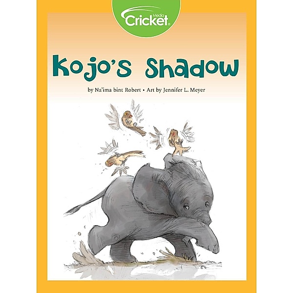 Kojo's Shadow, Na'ima bint Robert