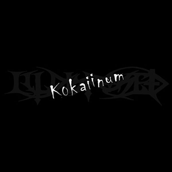 Kokaiinum (White) (Vinyl), Illdisposed