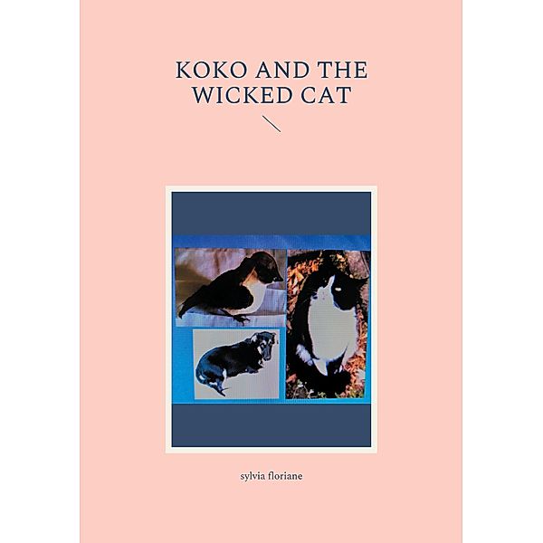 Koko and the wicked cat, Sylvia Floriane