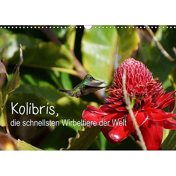 Kolibris, die schnellsten Wirbeltiere der Welt (Wandkalender 2023 DIN A3 quer), M.Polok