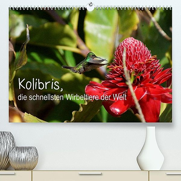 Kolibris, die schnellsten Wirbeltiere der Welt (Premium, hochwertiger DIN A2 Wandkalender 2023, Kunstdruck in Hochglanz), M.Polok