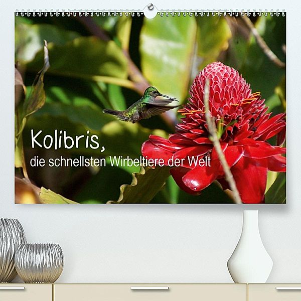 Kolibris, die schnellsten Wirbeltiere der Welt(Premium, hochwertiger DIN A2 Wandkalender 2020, Kunstdruck in Hochglanz)